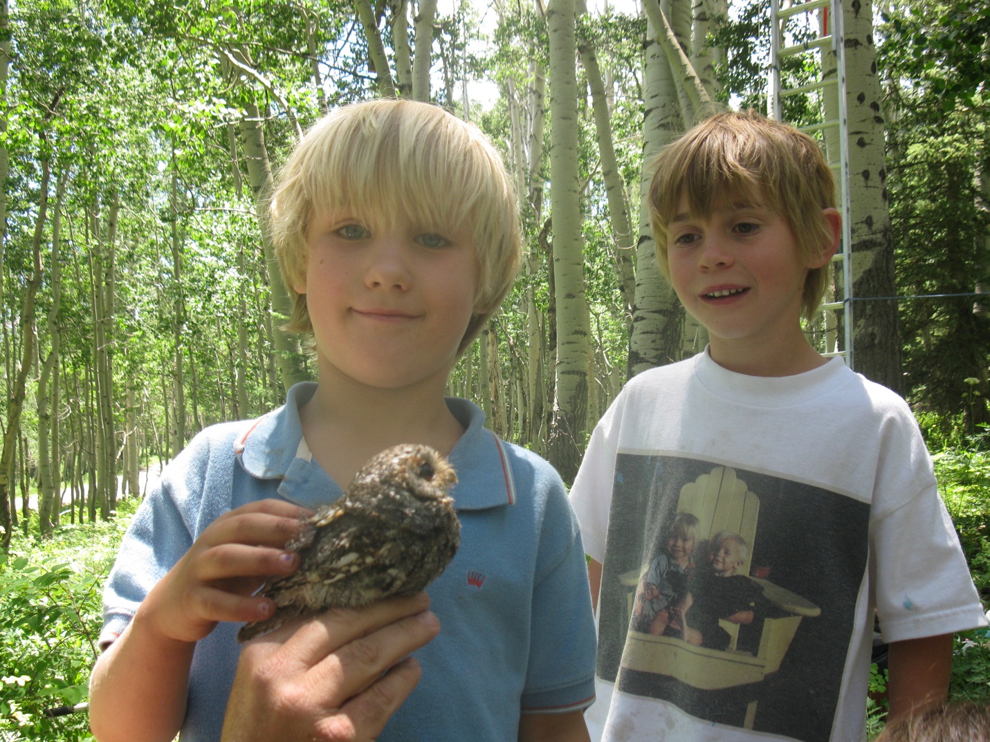 Diego Lareau, Otus Beason  see their first Flammulated Owl.Uncompahgre Plateau 7-22-11. By Jason Beason