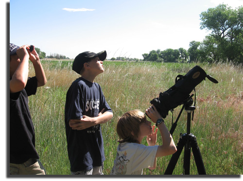Barr Lake Bird Watch