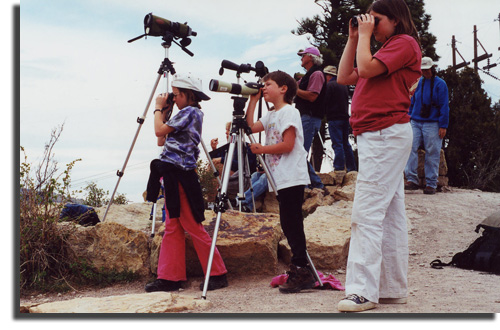at the Hawk Watch