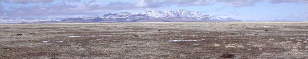 Chihuahuan Desert grasslands near Janos, Chihuahua (photo Arvind Panjabi)