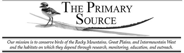 newsletter.png
