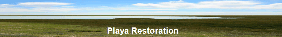 Playa Restoration