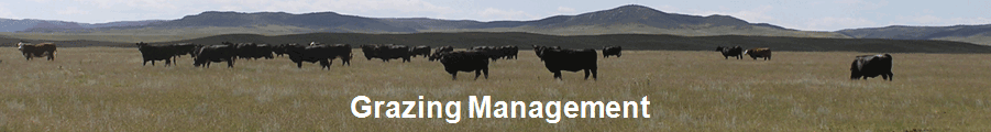 Grazing Management