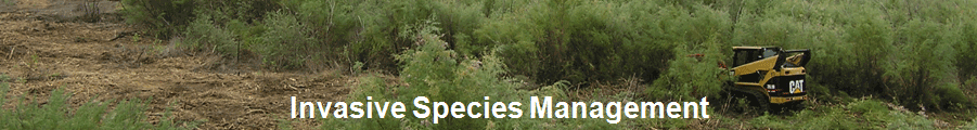 Invasive Species Management